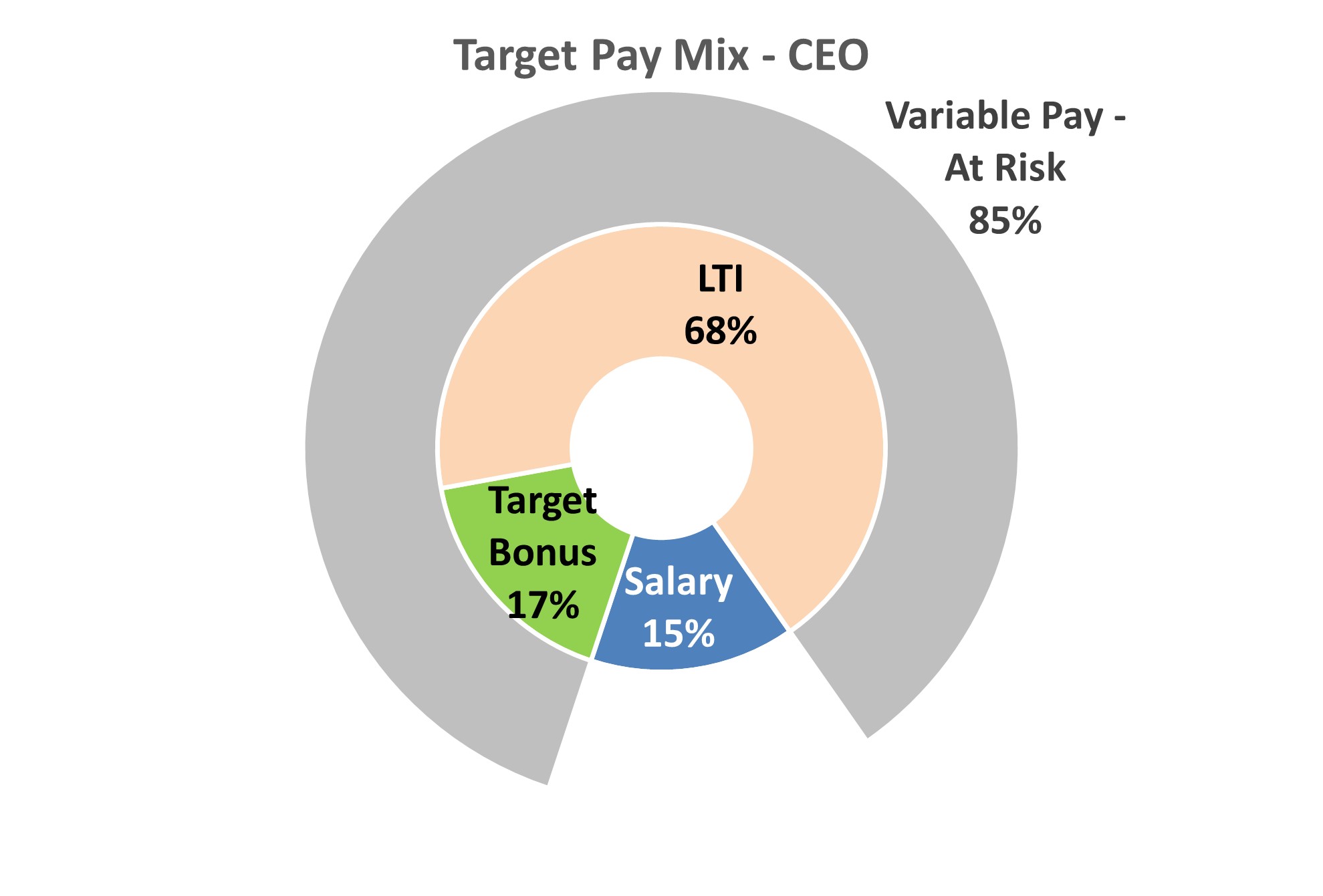 CEO Pay Mix 04.05.2024.jpg